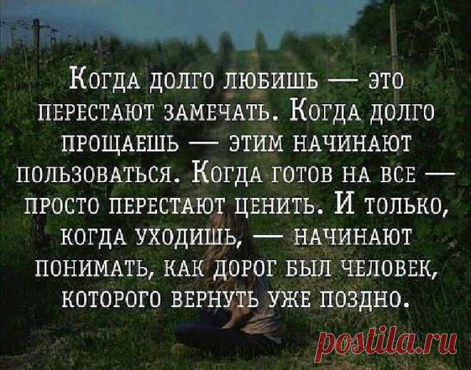 Подборка мудрых фраз о правде жизни. — Жизнь под Лампой!