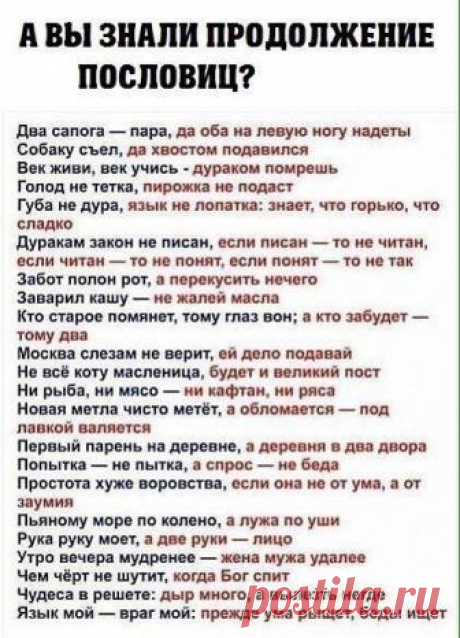 (61) Pinterest