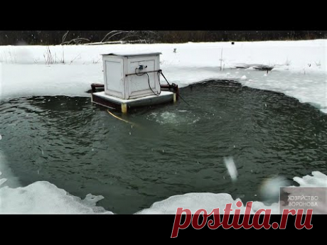 Для выживания рыбы включаю на пруду компрессор - YouTube