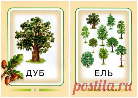Людмила Никитина
