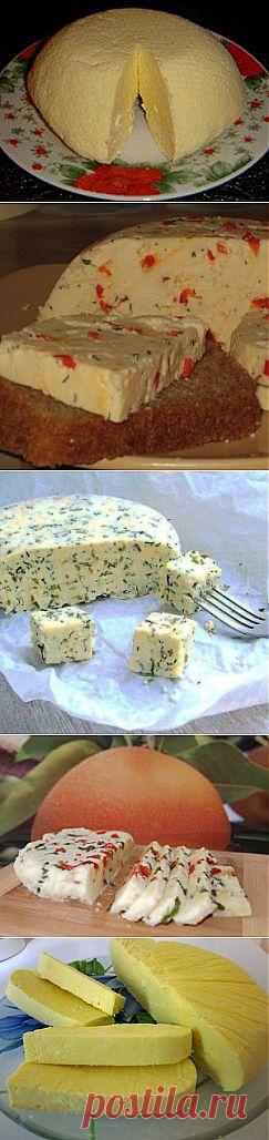 ДОМАШНИЕ СЫРЫ.