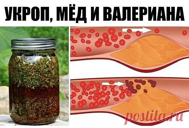 Секрет долголетия 
Академик Микулин создал гимнастику, состоящую из простейших упражнений, своеобразных сотрясений — ударах пятками о пол. Эта методика позволяет улучшить кровоток, предотвратить закупорку вен и нормализовать давление. Также улучшается работа мозга: от тяжести и боли в голове не остается и следа. 
Встань прямо, стопы соедини, зубы сожми. Приподними пятки на 3–5 см от пола, затем резко опустись. В результате возникшего встряхивания венозные клапаны получают ...