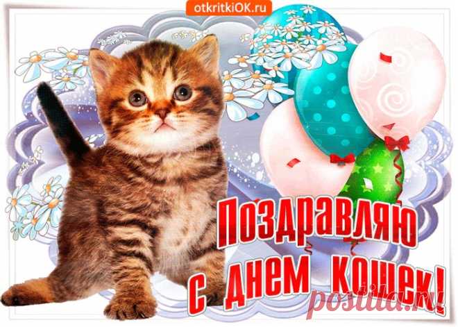 Картинки и Открытки с Днем Кошек