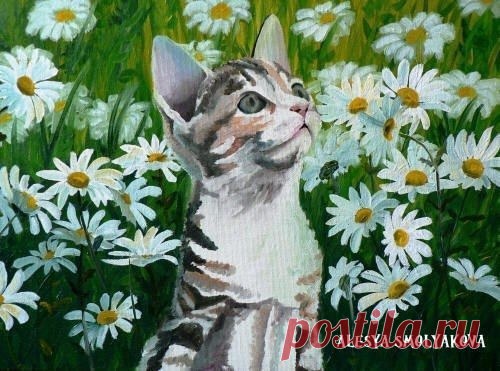 ​Котёнок среди ромашек