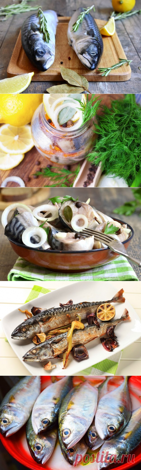 Как засолить скумбрию: 6 вкусных способов | Четыре вкуса