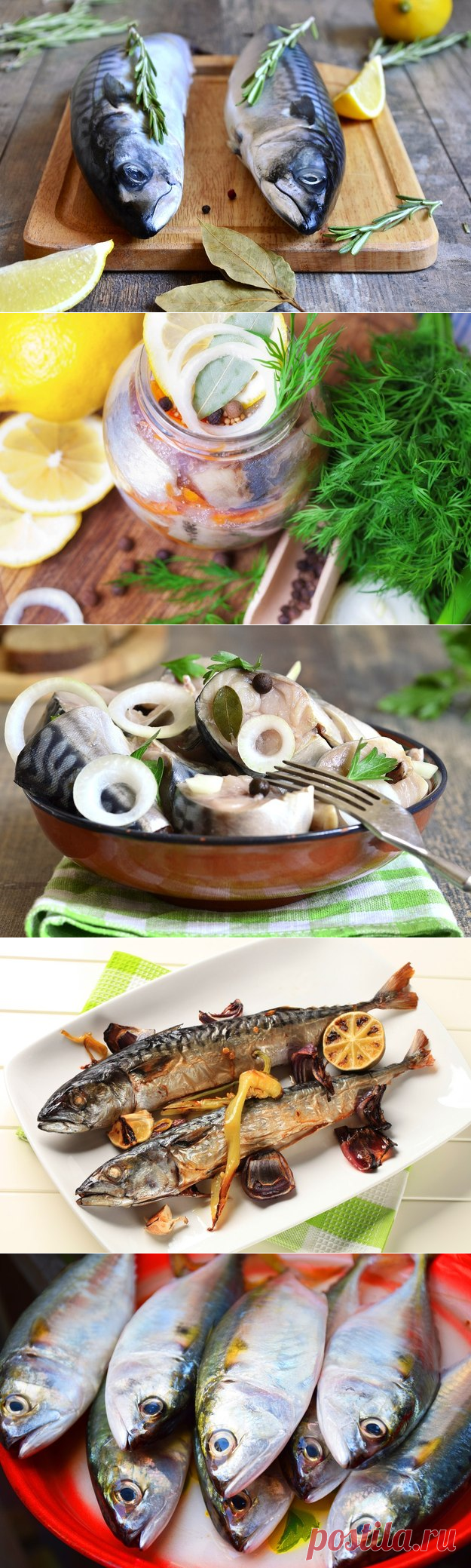 Как засолить скумбрию: 6 вкусных способов | Четыре вкуса