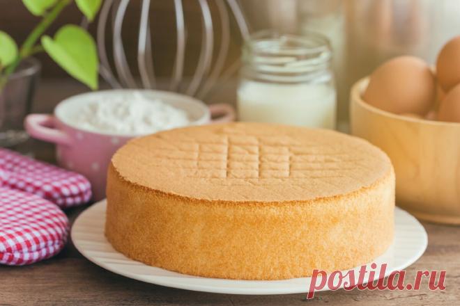 Невероятный рецепт торта с желе | Еда от ШефМаркет | Яндекс Дзен