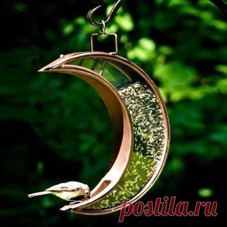 Необычные кормушки для птиц / 7dach.ru