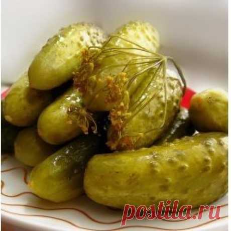 Бочковые огурцы - в ведре, хрустящие и вкусные