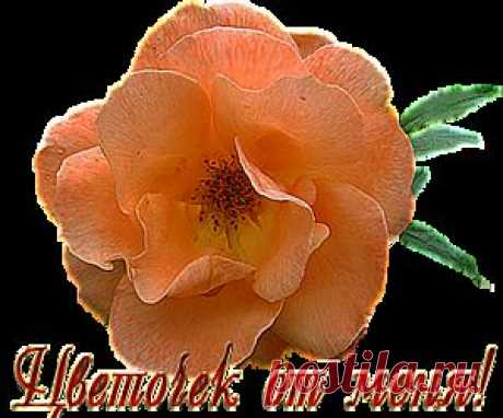 Готовые выкройки детской одежды.