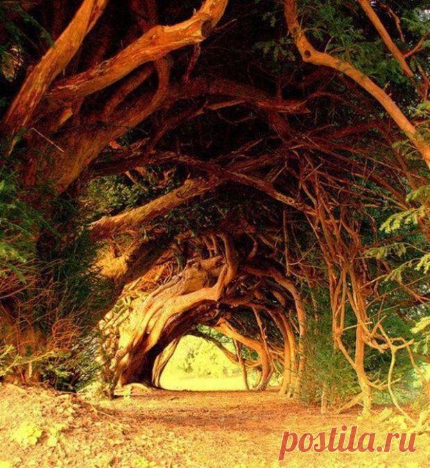 С мира по чуду. Фотоподборка