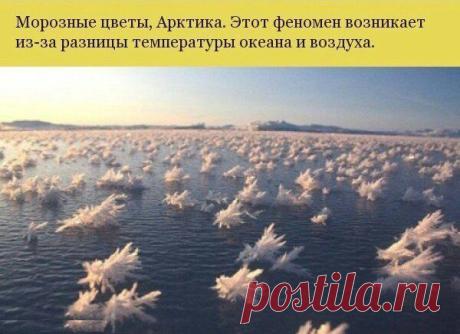 СРОЧНО требуются люди для ОНЛАЙН работы. Просьба РЕТВИТА, возможно Вашим друзья она нужна https://evgeshashipilova.wix.com/toplider1