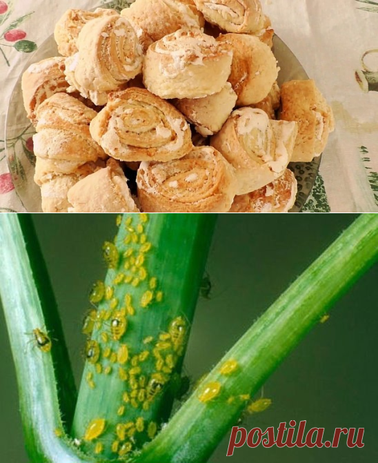 1 непрочитанный чат