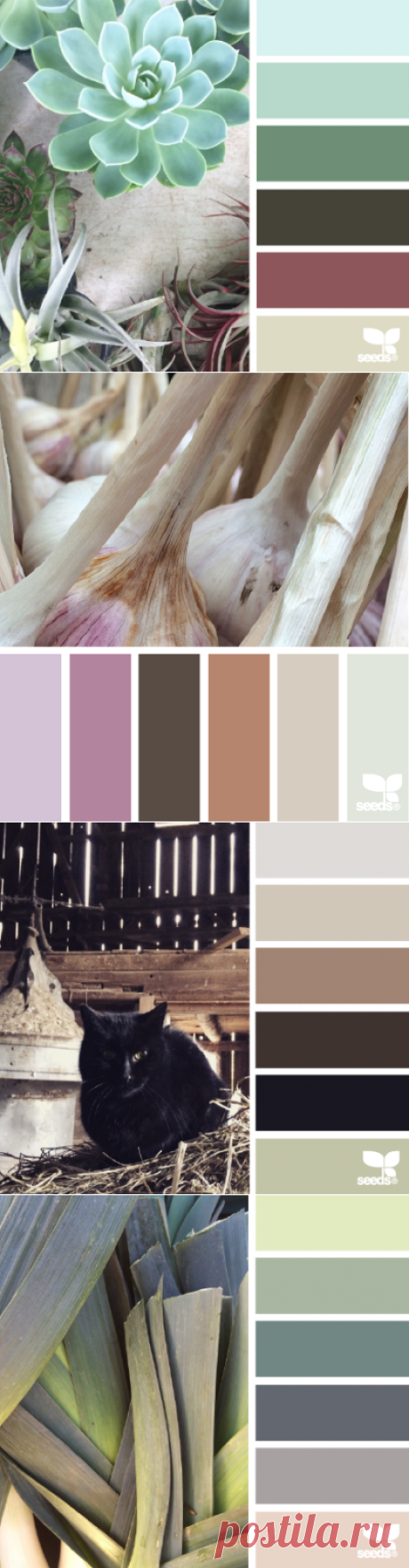 design seeds | for all who ♥ color