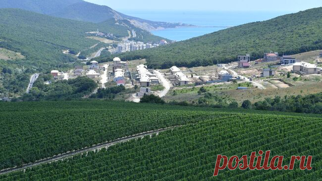 Эксперт назвал самые любимые вина россиян