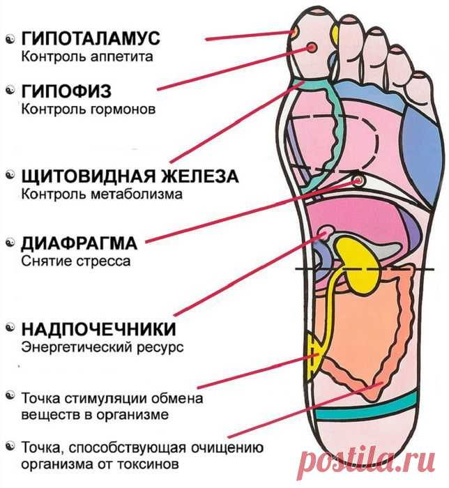 эти 7 активных точек способны вернуть тебя к жизни за пару минут!Рефлексология стопы.