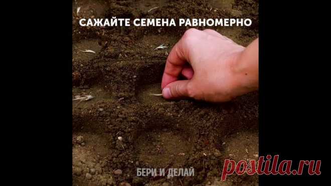 Простые советы для тех, кто выращивает растения!