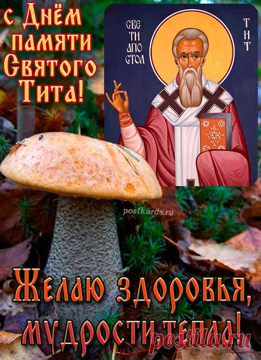 С праздником Тита Грибника! Желаем найти самые лучшие грибы, чтобы год был обильным и плодотворным. Пусть каждый день приносит вам такие же щедрые дары, как осенний лес!