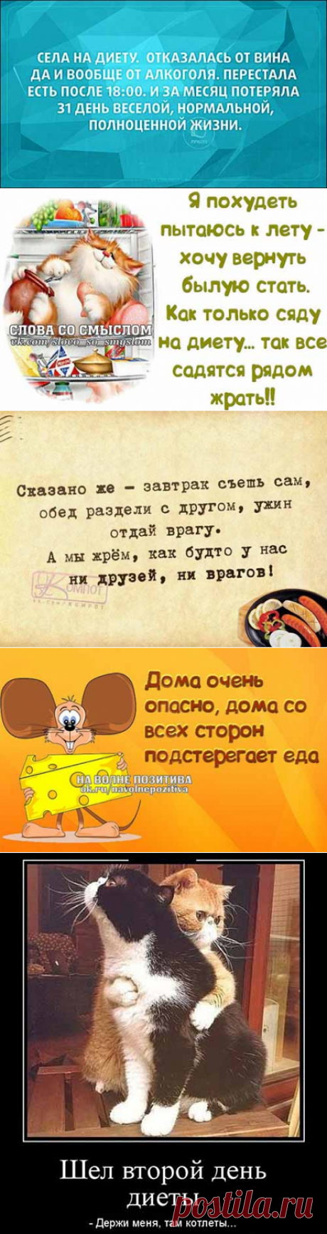 Анекдоты про диету - covkysom.ru