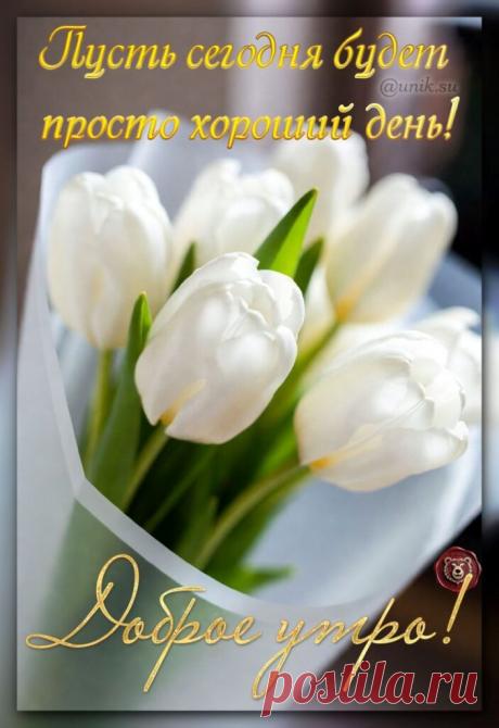 Новые  картинки доброго утра