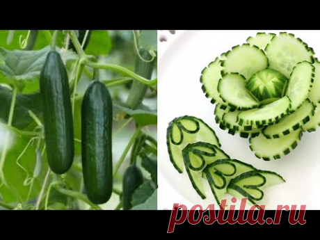 Học cắt tỉa đơn giản từ cà rốt và dưa chuột