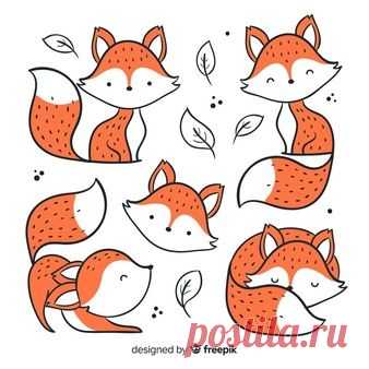(764) Pinterest