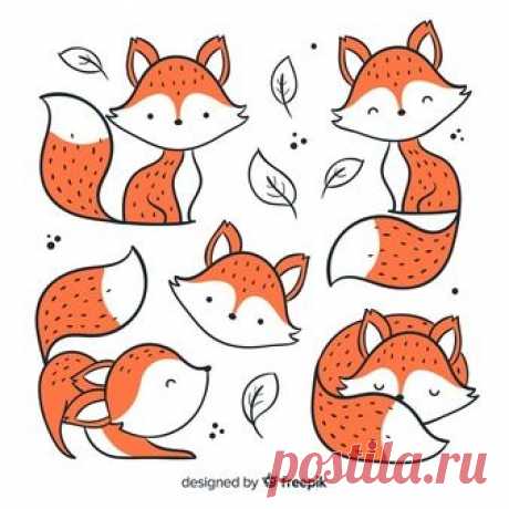 (764) Pinterest