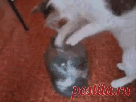 Паршивец маленький... Мать чуть до истерики не довёл...