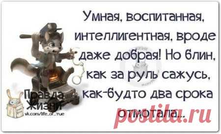 ФРАЗОЧКИ, КАРТИНОЧКИ, ПОЗИТИВЧИК...