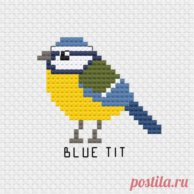 Archivos de animales - Ringcat Design