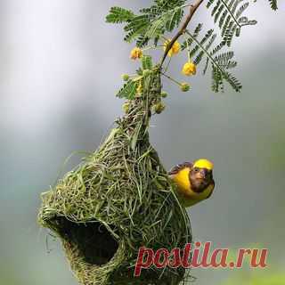 Photo shared by NATURE GEOGRAPHY on December 04, 2020 tagging @raj_shelke.