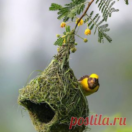 Photo shared by NATURE GEOGRAPHY on December 04, 2020 tagging @raj_shelke.