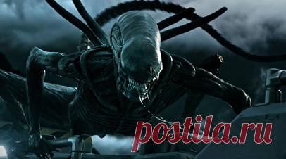 Завершились съёмки нового фильма по вселенной «Чужого». Режиссёр Федерико Альварес завершил съёмочный процесс нового фильма про инопланетных монстров-ксеноморфов «Чужой: Ромул». Продюсировал ленту автор оригинальной фантастической картины 1979 года Ридли Скотт. Читать далее