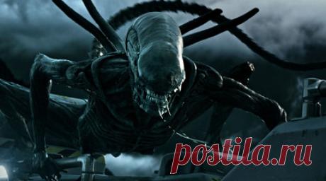 Завершились съёмки нового фильма по вселенной «Чужого». Режиссёр Федерико Альварес завершил съёмочный процесс нового фильма про инопланетных монстров-ксеноморфов «Чужой: Ромул». Продюсировал ленту автор оригинальной фантастической картины 1979 года Ридли Скотт. Читать далее