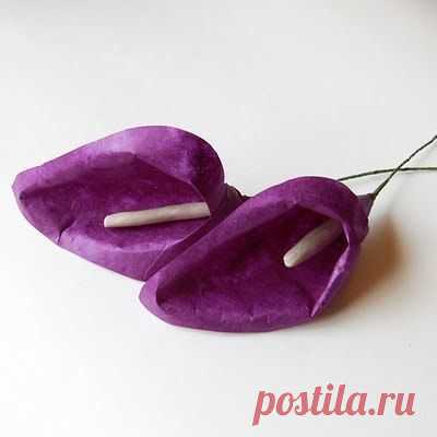 Каллы своими руками! - Цветы из ткани и бумаги