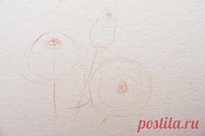 Как нарисовать розу поэтапно карандашом для начинающих