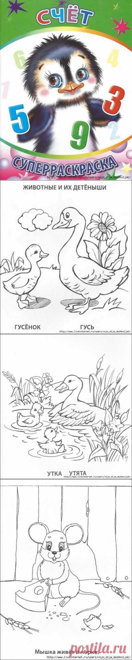 Суперраскраска - СЧЁТ..