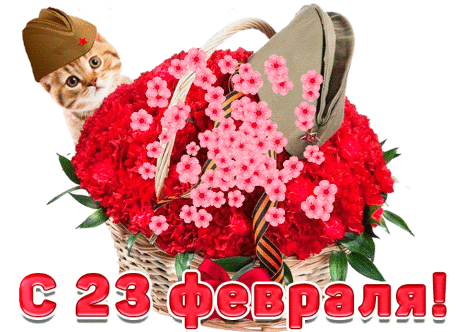 Картинки 23 февраля - анимационные открытки и картинки gif Картинки 23 февраля - 23 февраля открытки анимационные gif картинки и открытки поздравления