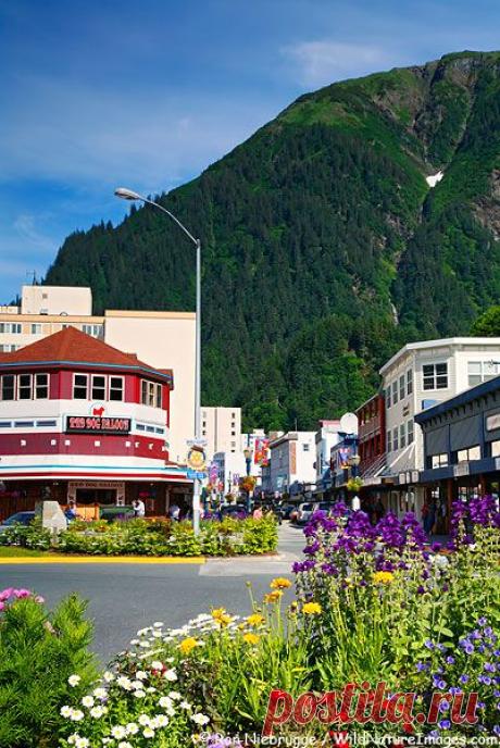 Downtown Juneau Pictures