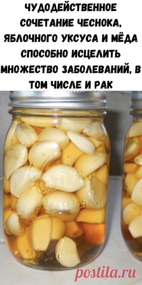 Чудодейственное сочетание чеснока, яблочного уксуса и мёда способно исцелить множество заболеваний, в том числе и рак - Счастливые заметки
