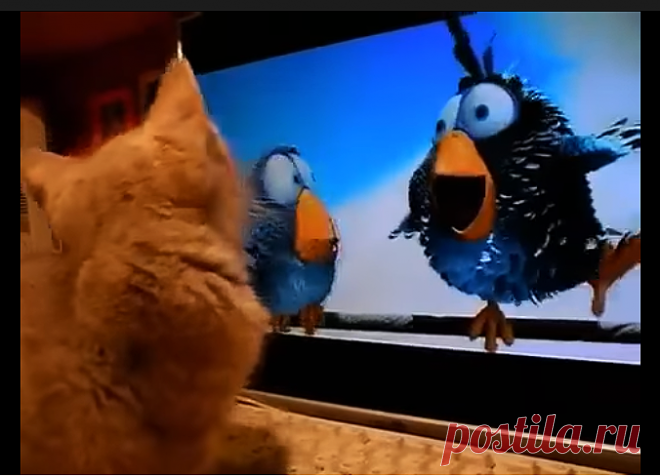 Чем заниматься дома целую неделю? Делюсь своим списком сайтов и сервисов, которые стали бесплатными | Полезные советы по дому и саду | Яндекс Дзен