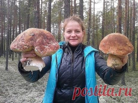 (72) Одноклассники