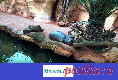 Бесплатные объявления Универмос.РФ