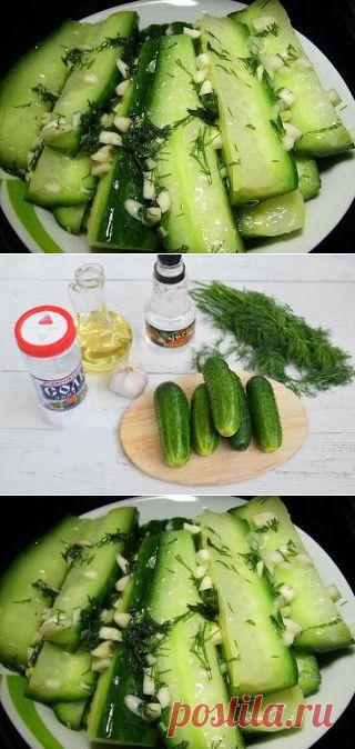 Лучшие кулинарные рецепты: Закусочные огурцы