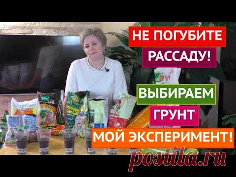 ОБЗОР ГРУНТОВ ДЛЯ РАССАДЫ! БОЛЬШОЙ ЭКСПЕРИМЕНТ!