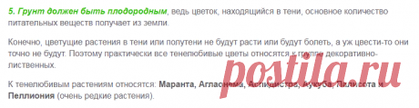 Список тенелюбивых комнатных растений – уход за ними и условия роста