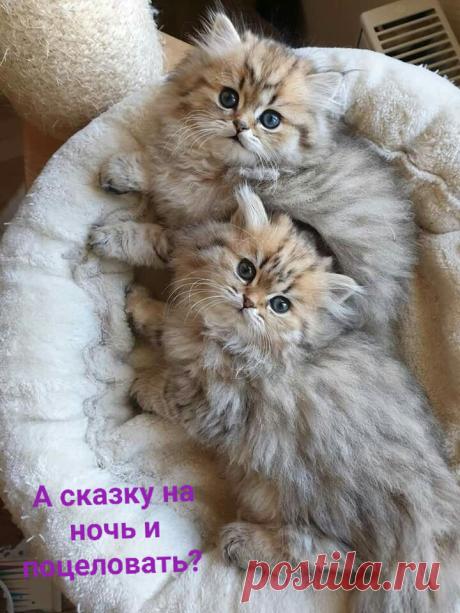 Открытки для поздравления