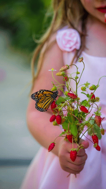Никогда ни о чем не жалейте вдогонку, 
Если то, что случилось нельзя изменить. 
Как записку из прошлого грусть свою скомкав
С этим прошлым порвите непрочную нить.
Никогда не жалейте о том, что случилось, 
Иль о том, что случиться не может уже
Лишь бы озеро вашей души не мутилось
Да надежды как птицы парили в душе
Не жалейте своей доброты и участья,
Если даже за всё вам - усмешка в ответ