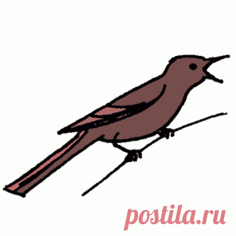 Как нарисовать птицу - Поделки с детьми | Деткиподелки