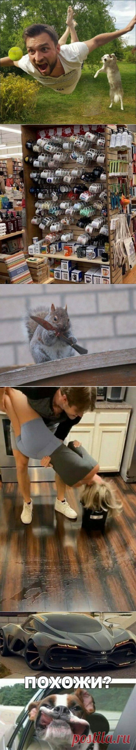 Подборка прикольных картинок и фотографий-254 | glebas@tut.by | Яндекс Дзен